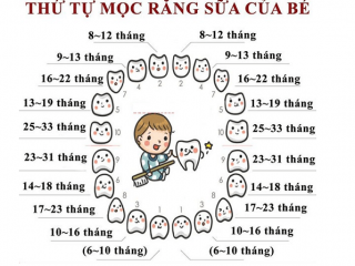 QUÁ TRÌNH MỌC VÀ THAY RĂNG CỦA TRẺ: BA MẸ ĐÃ BIẾT CHƯA?